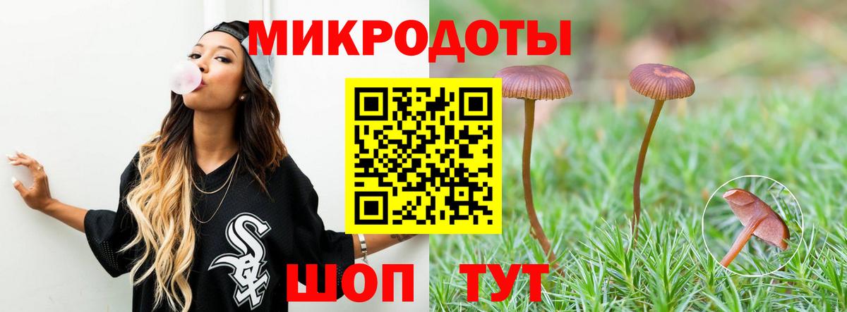 Псилоцибиновые грибы Psilocybe Сегежа